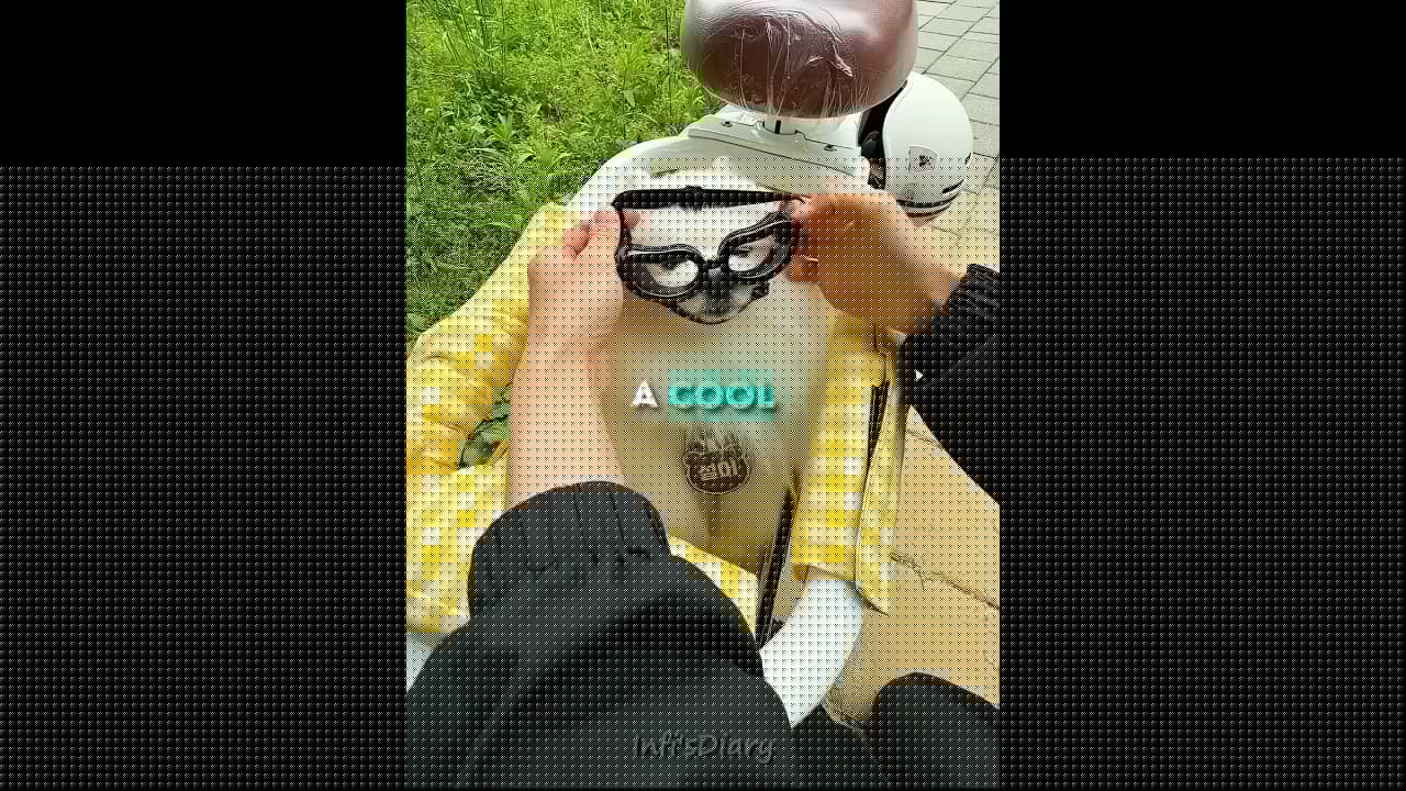 The Coolest Biker Dog Ever 😍🐶 (@hongsnow/TT) #shorts