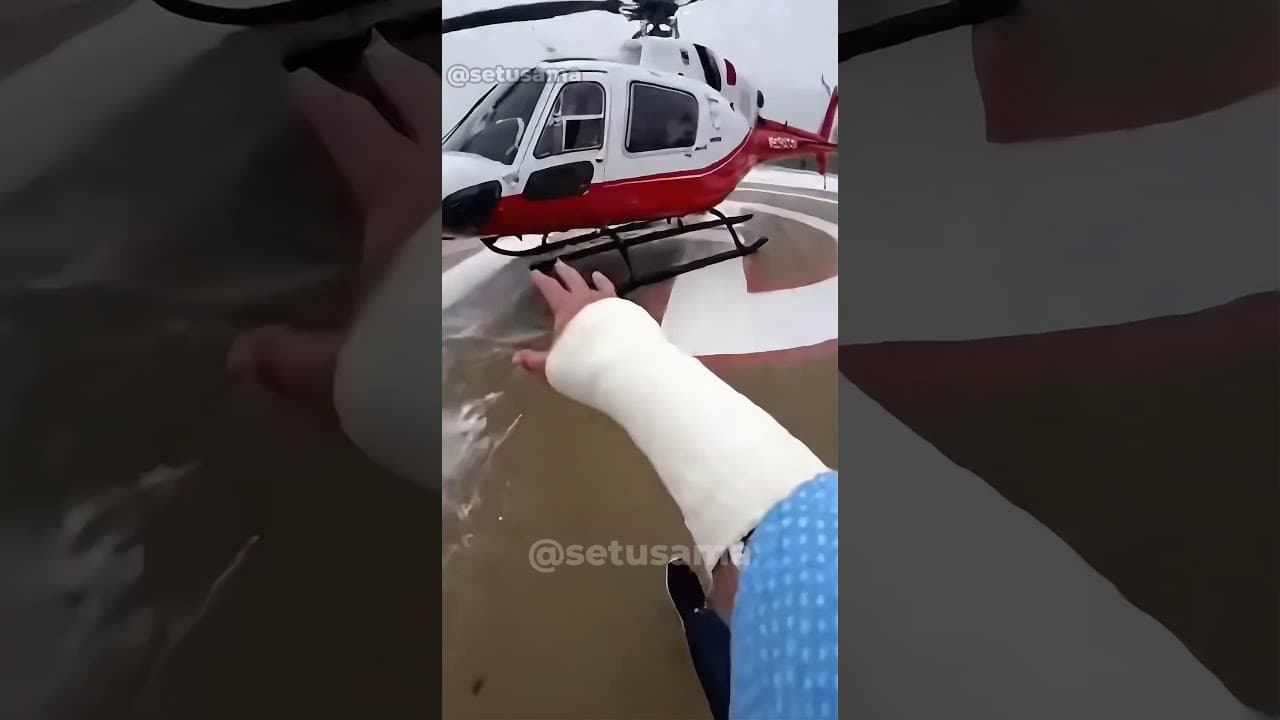 A Woman Stole a Dog From a Pet Store - Rescue Mission 🚓