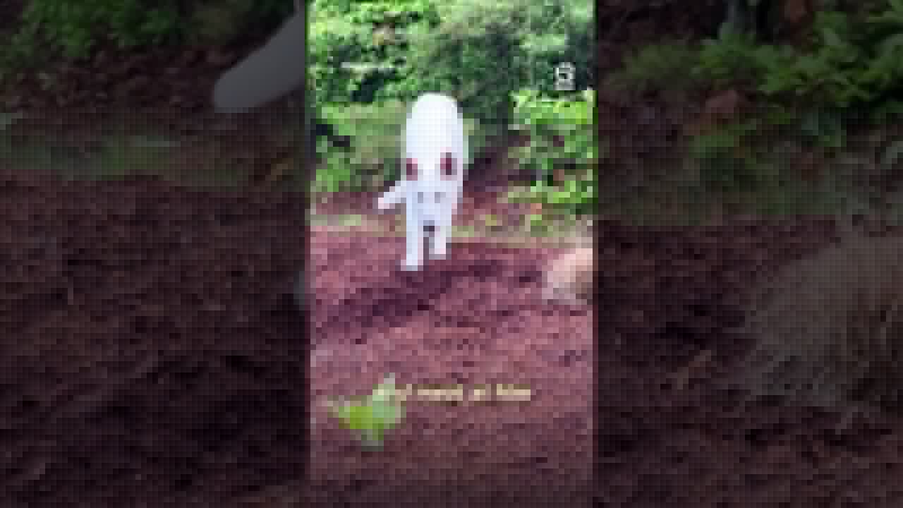White mystery creature starts appearing on driveway Part 1