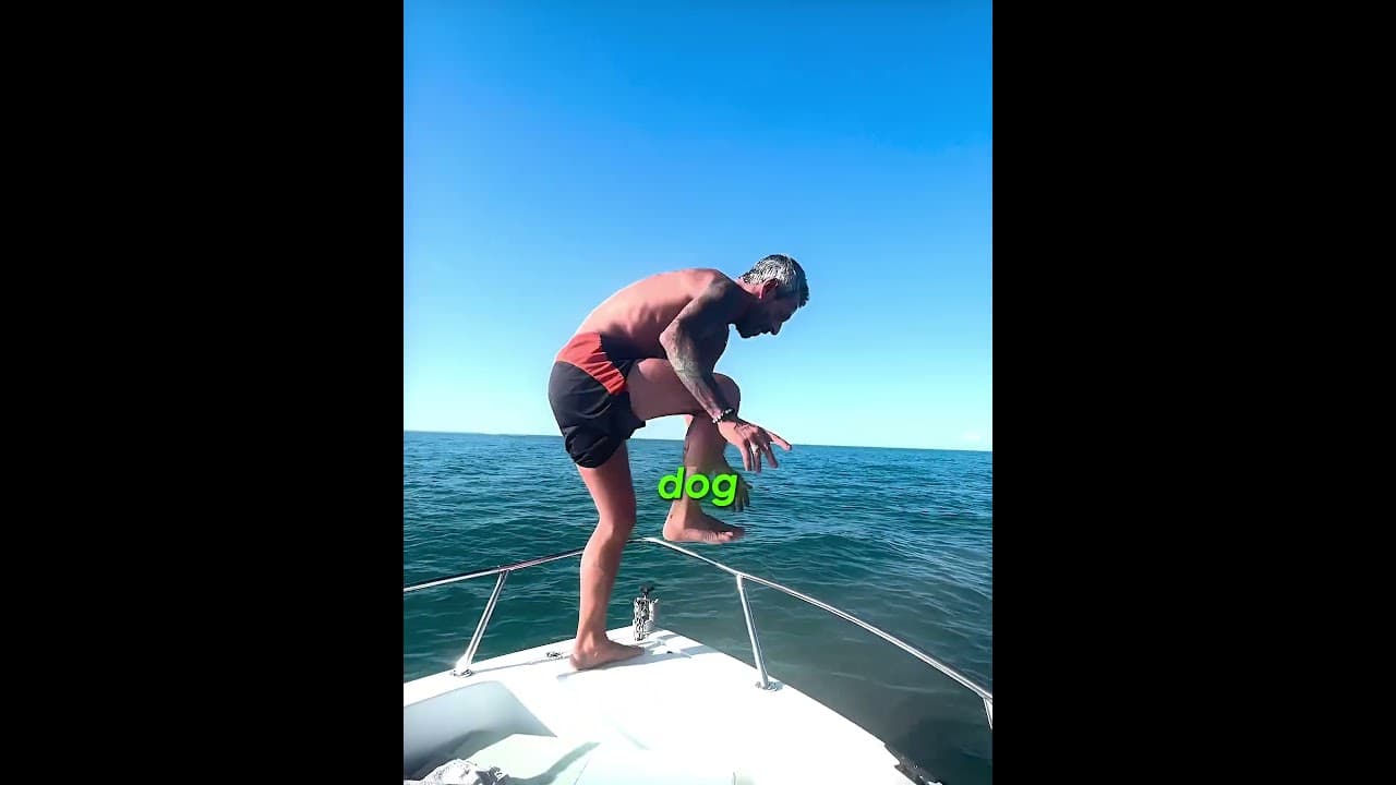 Their Final Swim Together 💙