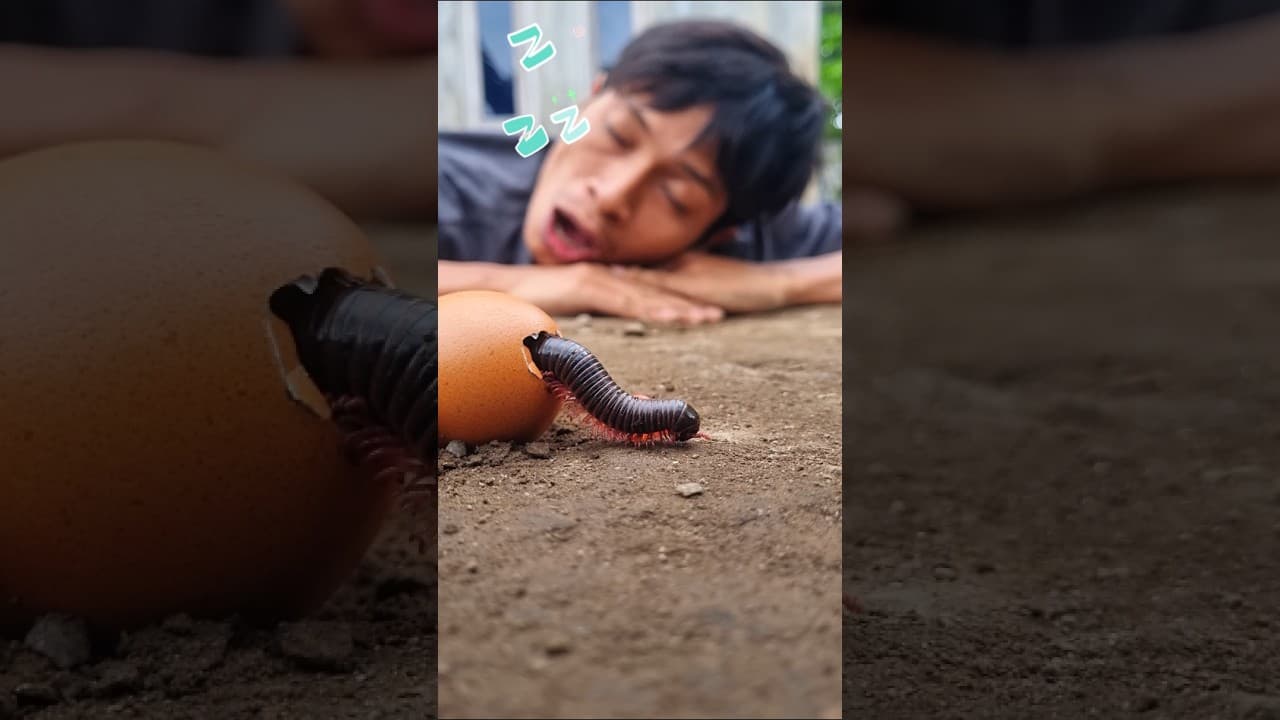 Sweet dreams, he fell into a deep sleep just as the millipede finally appeared before him #millipede