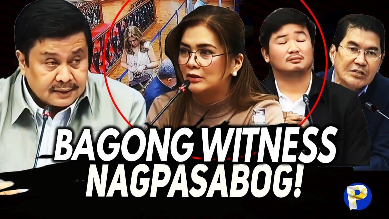 Mina Jose na nagdala raw kay Jinggoy ng SOP na nakuha ng CCTV, nagsalita! DAWIT din si Erwin!