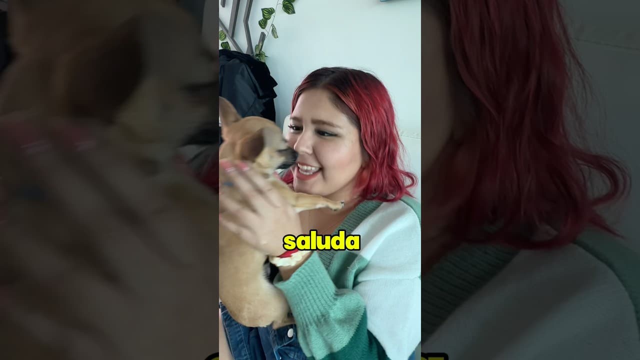 CUANDO SALUDO A OTROS PERROS