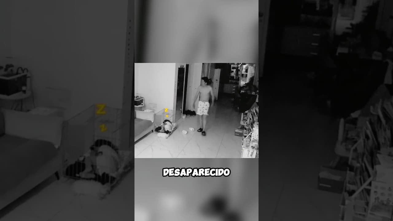 Niña elige la jaula de su perro en lugar de su cama 🐶🤣 #shortvideo