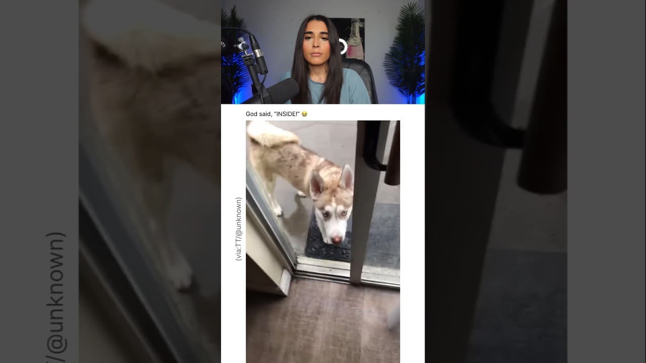 DOG ALMOST GETS STRUCK BY LIGHTNING.. 😭