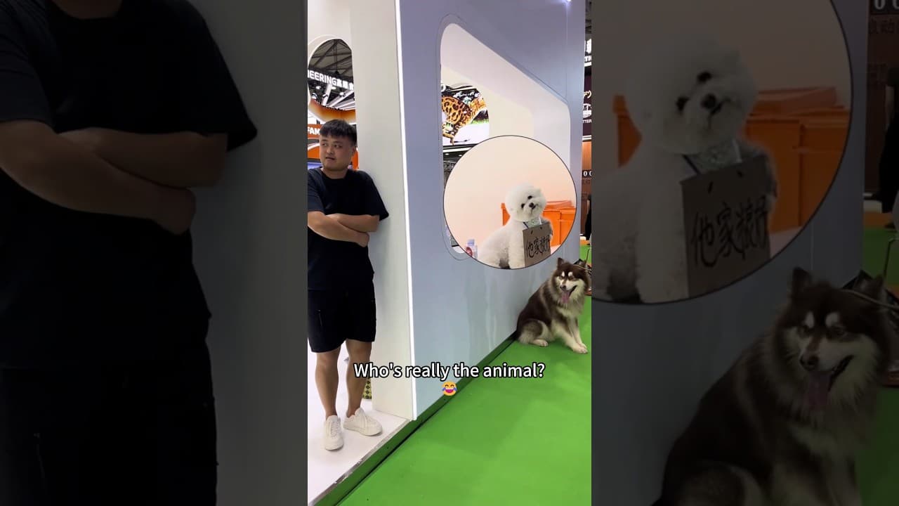 The Man Who Can Communicate with Animals. Part.2 #funnydog #dog #animals #usa #foryou