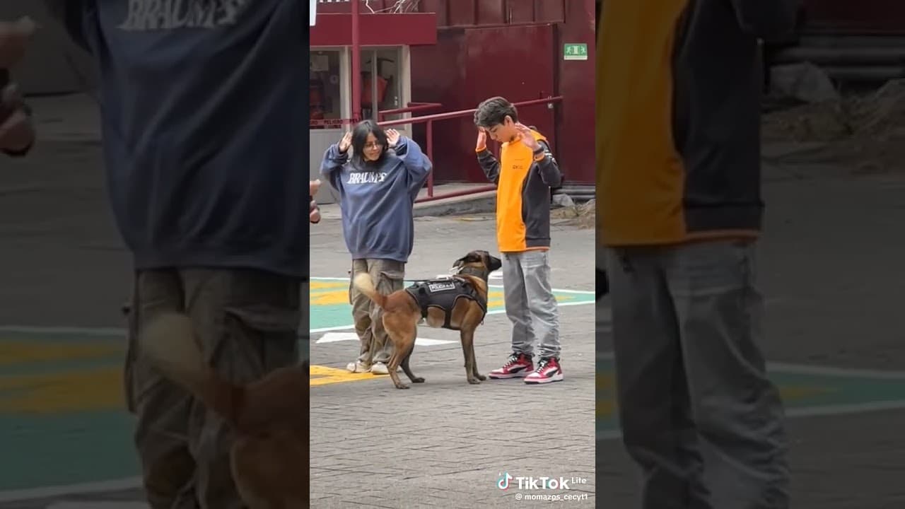 🤑[créditos al del video]