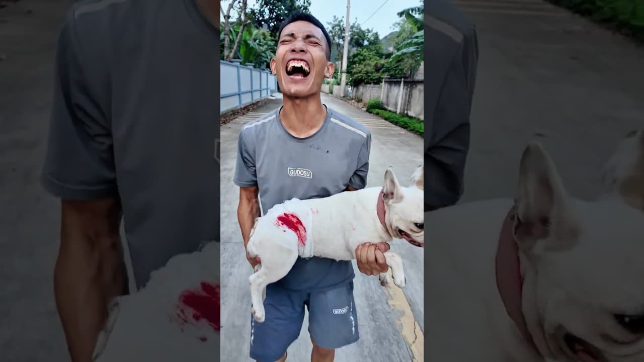 The Whole Village Cries After Smart Dog Faces Tragic Accident 😢🐶#dog #lovedog #pets #smartdog