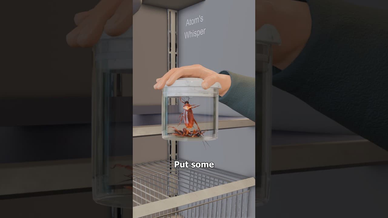 How Cockroach Cars are Made 🪳