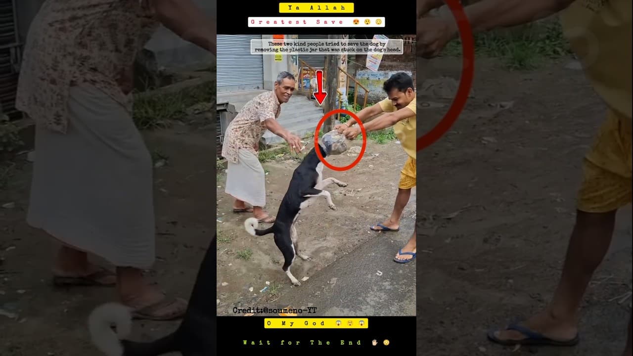 Masya Allah ☝🏻😇 Greatest Save #shorts #status #short #save  #noosaatvinfo #viral #trending