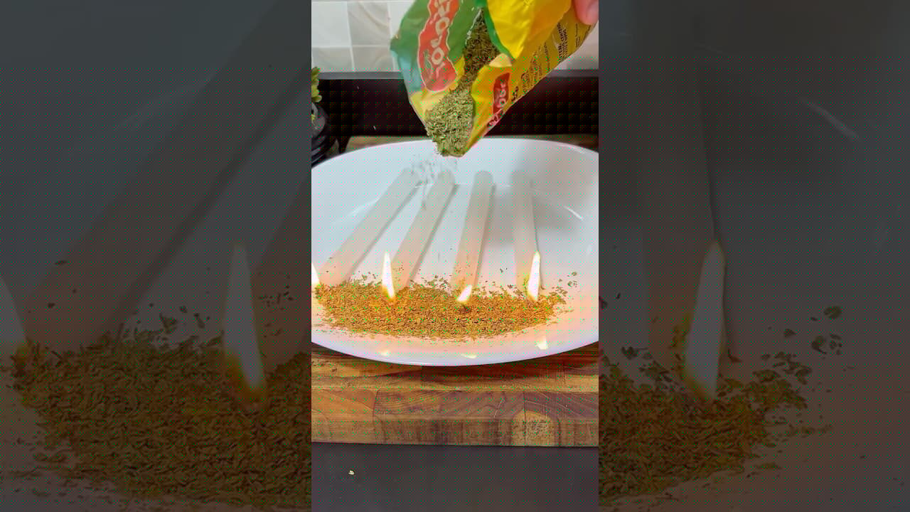 Los exterminadores odiarán que descubras este truco barato 😱🤯