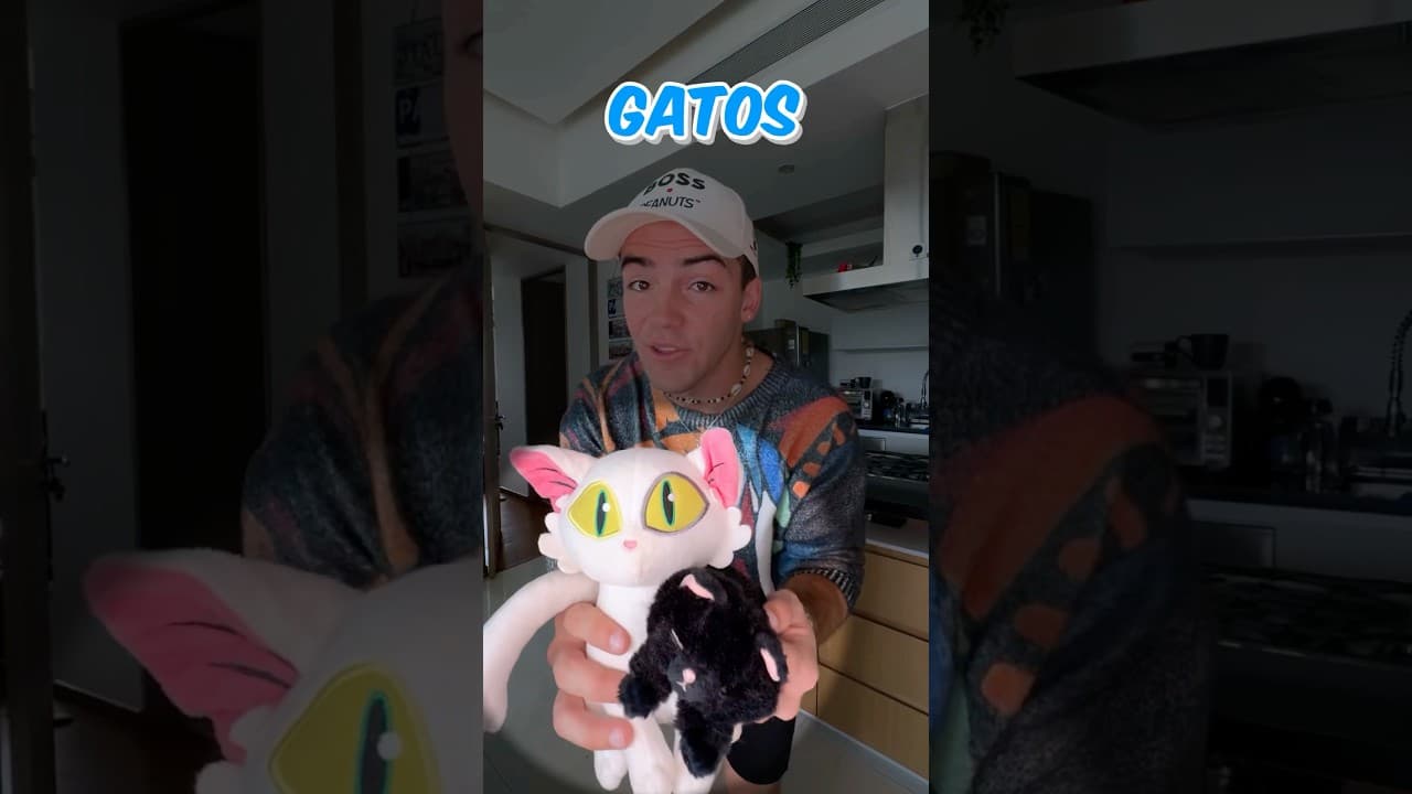 Los gatos no le tienen MIEDO A NADA?! 😱😳