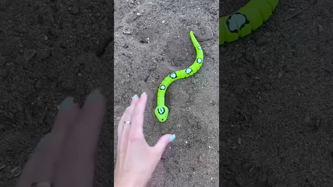 Introducing the "VitaWear SmartBand," a next-generation wearable gadget 🎉P3754