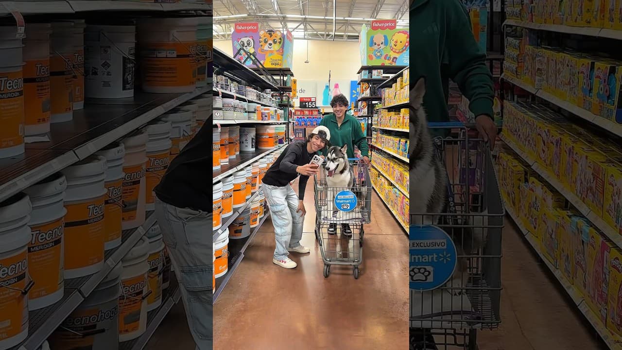 CUANDO LLEVO A MI PERRO🐶 AL SÚPER 😂