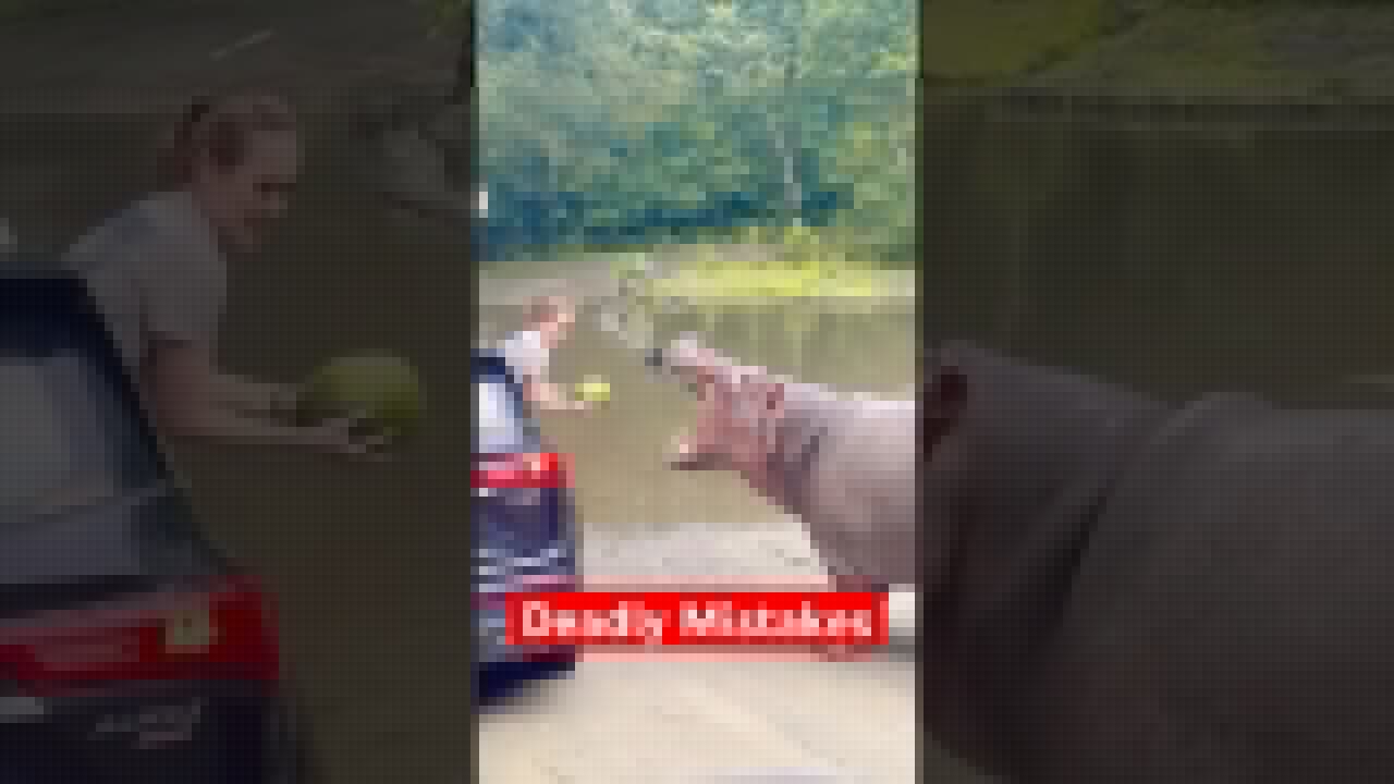 5 Deadly Mistakes You Should NEVER Make with Animals #shorts