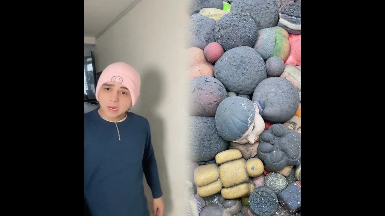 Mi hermano es una rata… #parati #fyp #humor #xybzca