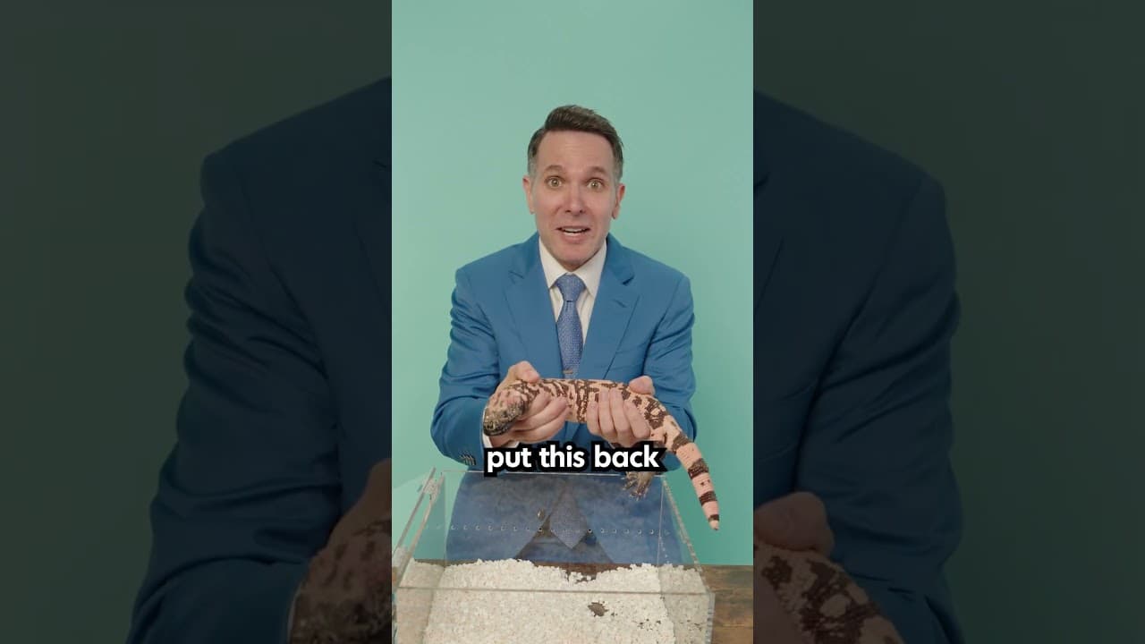 These Animals Are Illegal