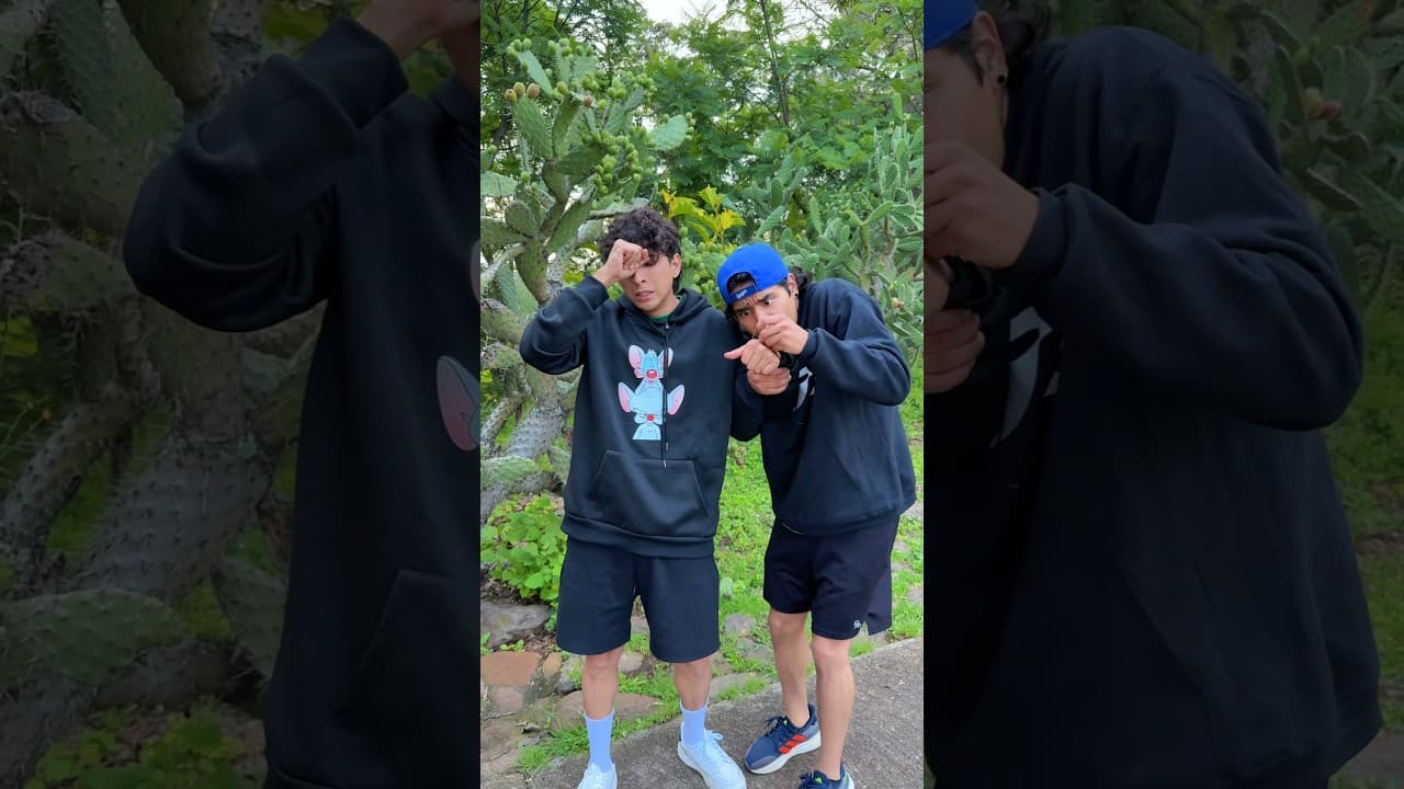 SE HAN ENCAJADO UNA ESPINA❓