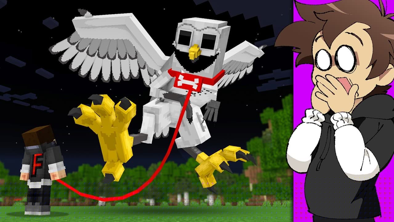 Can You Keep OWL MONSTER as a Pet?