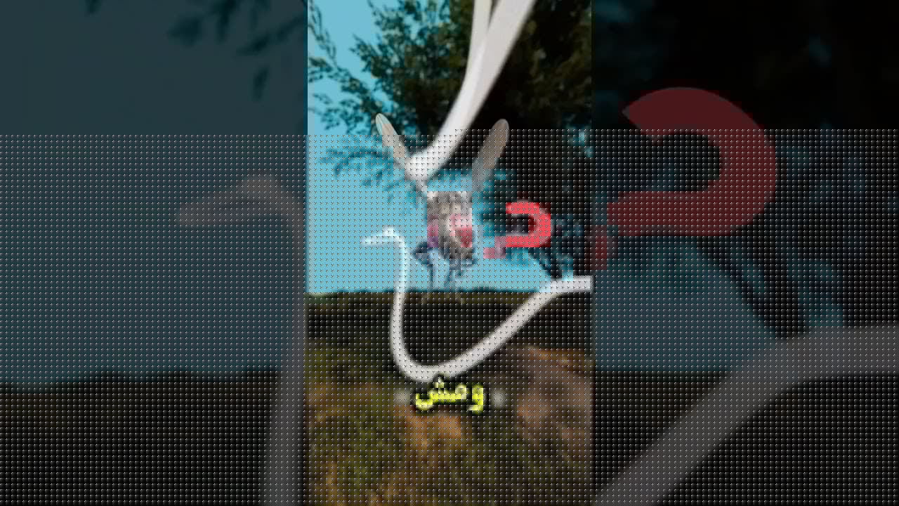 🐄 السر ورا خطوط الحمار الوحشي! 🦓 #حيوانات #زرافة #ذباب