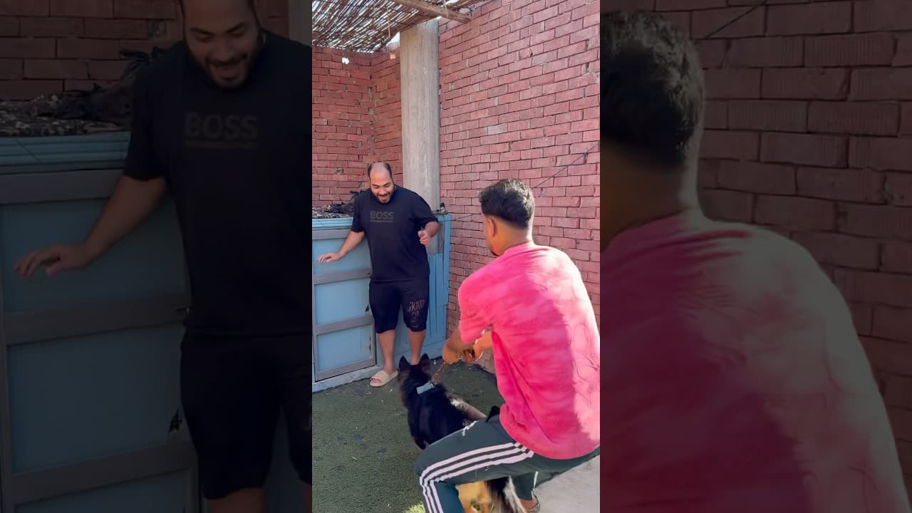 لما صحبك يتريق علي الكلب بتاعك😂