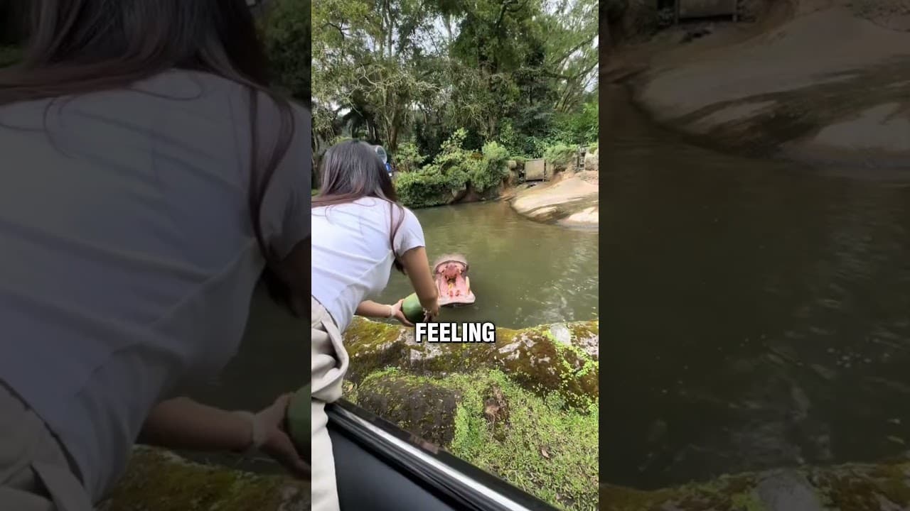 The hippo couldn't get the watermelon 🥺❤️